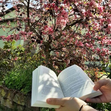 rose.reads's profile