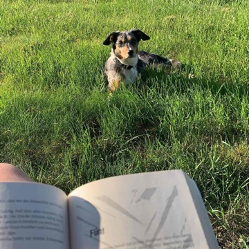 schellithebooklover's profile