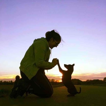 pinschi's profile
