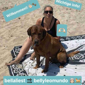 bellyleomundo's profile