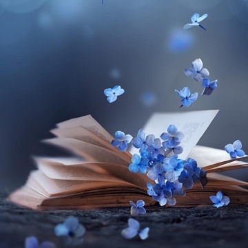 eli_in.booklove's profile