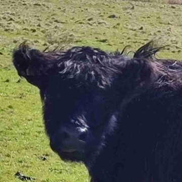 schnuten_gnu's profile