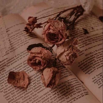 leticiasbooks's profile