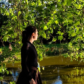 koellmi's profile