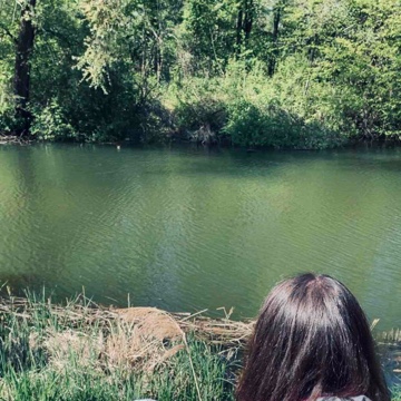 stephie37's profile