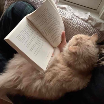 melliisreading's profile