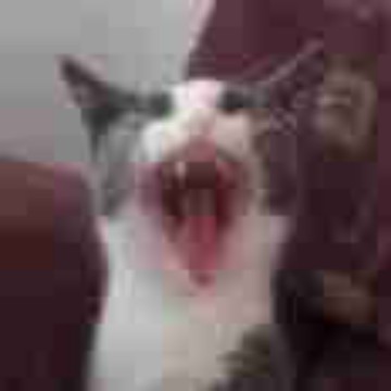 m_dd.13's profile