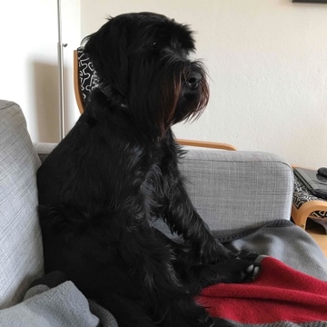 campe's profile