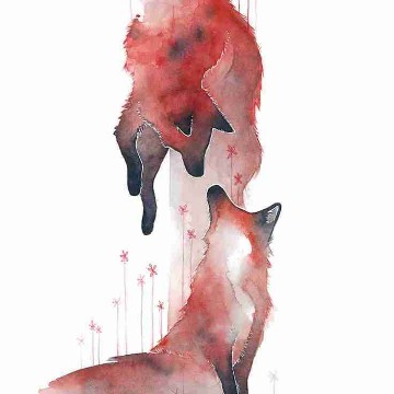 book_fox's profile
