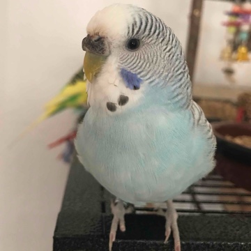 vanycus's profile