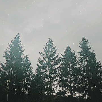 kelythra's profile