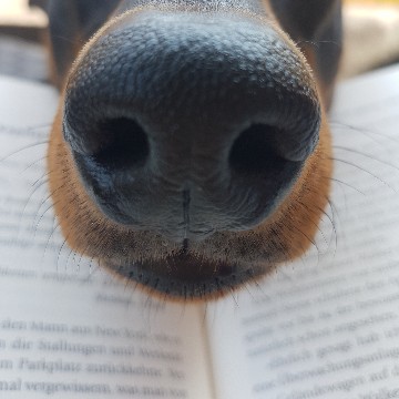 pfaffingers_bibliophilie's profile