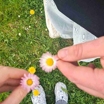 emilia_seitenzerleger's profile