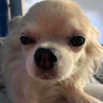 romyjudges's profile