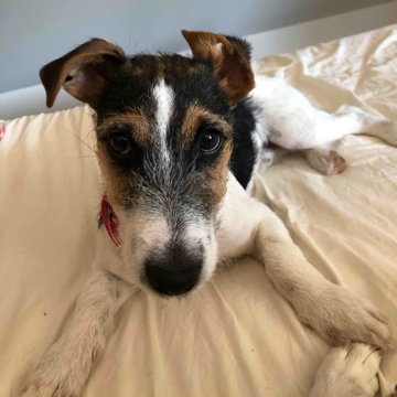 runtoread's profile