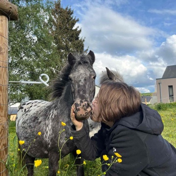 hannah_liest's profile