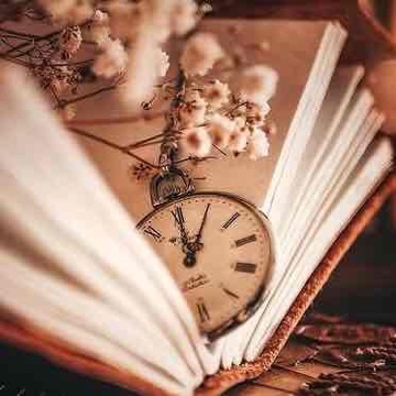 moon.book.light's profile