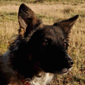 lunamia's profile