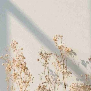 booksandbutterflies's profile