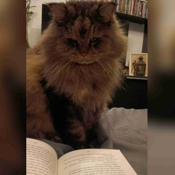 readresi's profile
