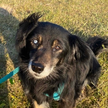 immie's profile