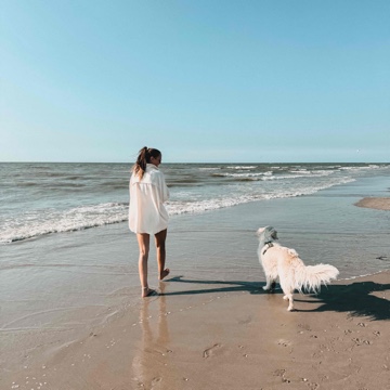 janinewet's profile