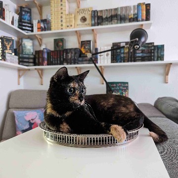 tezmira.worldofbooks's profile
