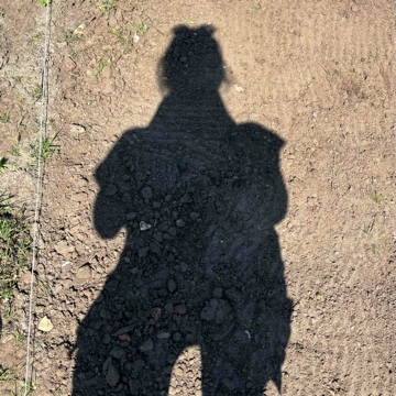 lillysshelf's profile