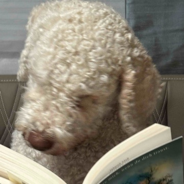 memmelreads's profile
