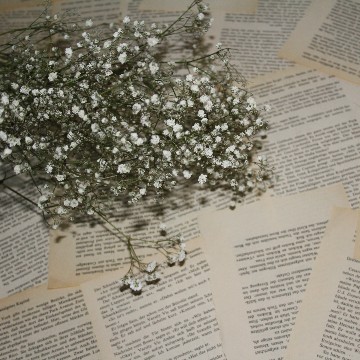 booktherapie's profile