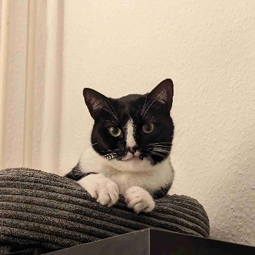 mummy_stein's profile