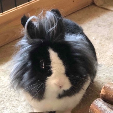 tinymaria's profile