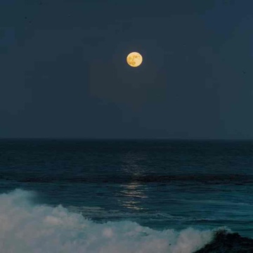 charlune