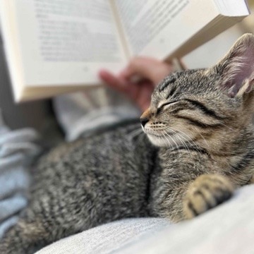 findingbooks's profile