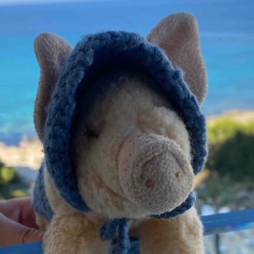 ladyladyunbekannt's profile