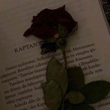 booklove18's profile