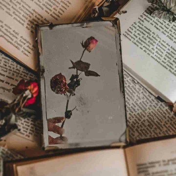 fauns.books's profile